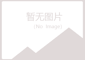 黄岛区敷衍金属有限公司